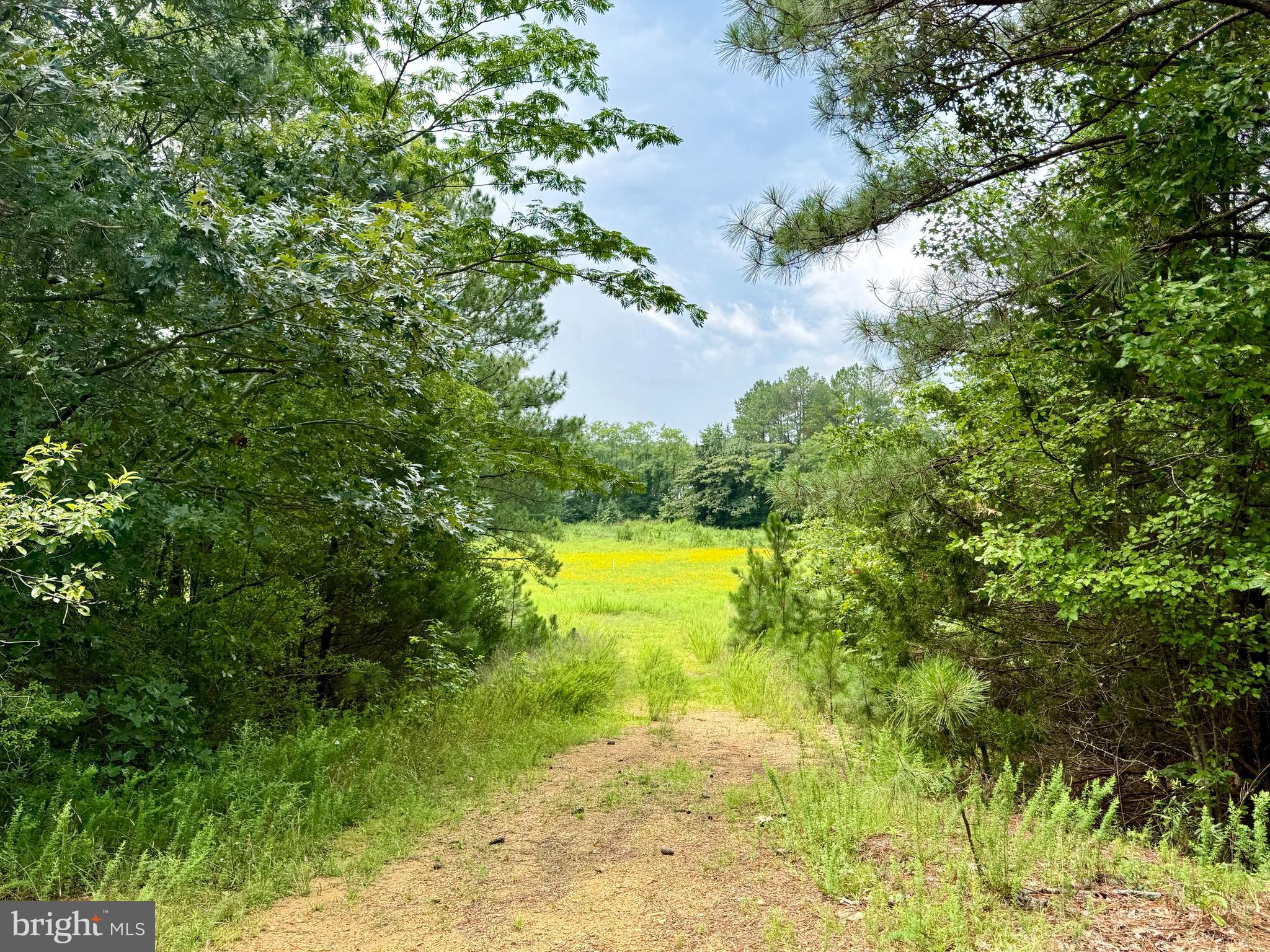 45291 TAKE IT EASY RANCH ROAD