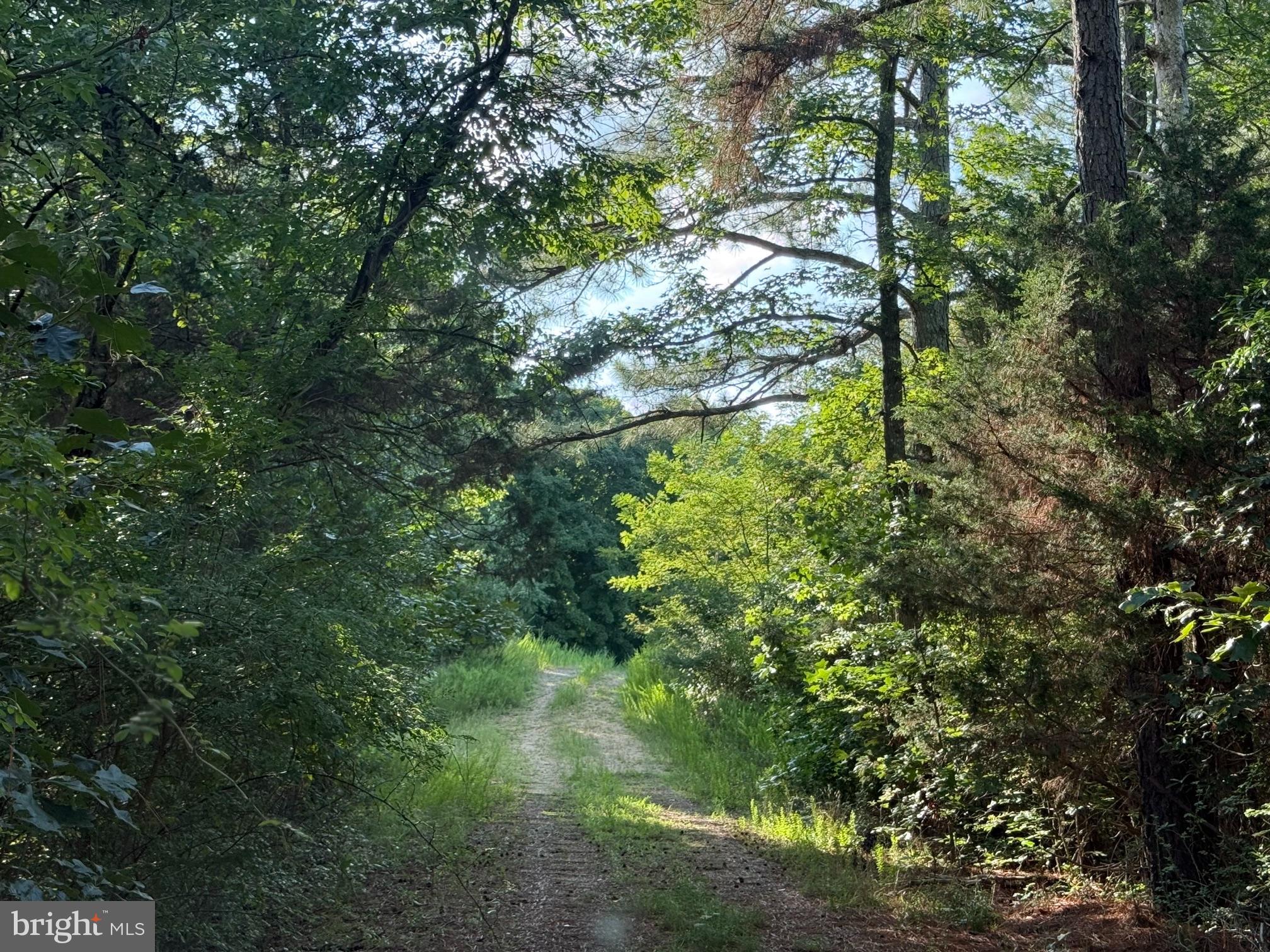 45291 TAKE IT EASY RANCH ROAD