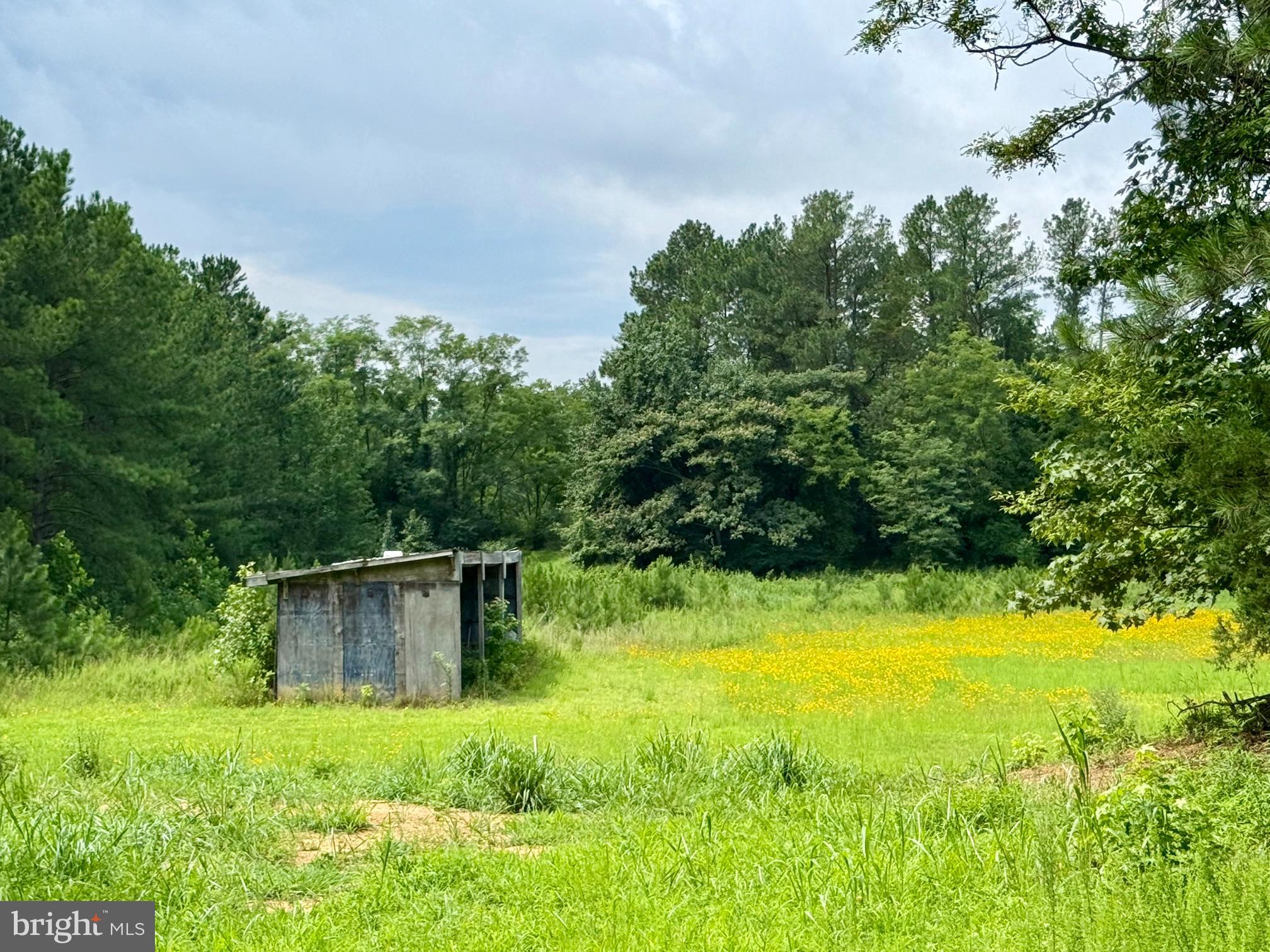 45291 TAKE IT EASY RANCH ROAD