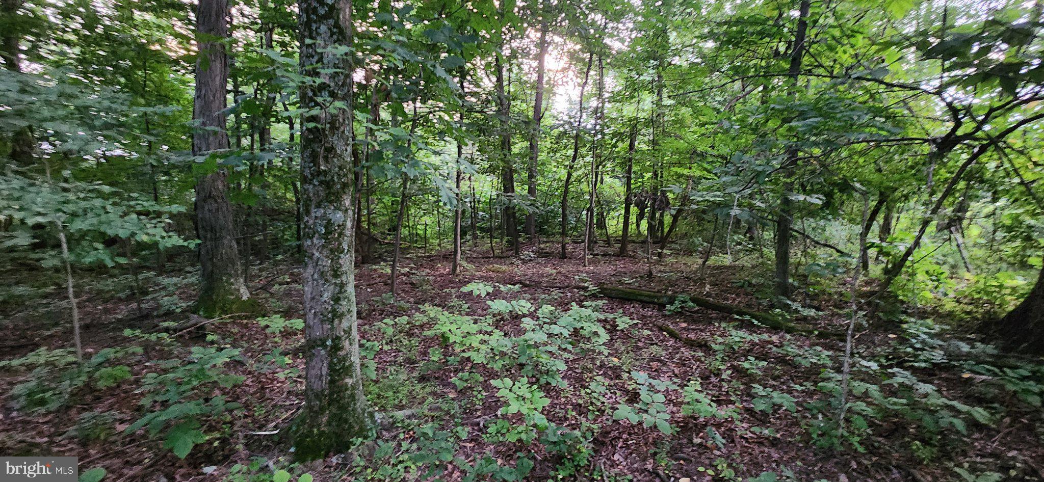 25 FREEDOM TRL TRAIL