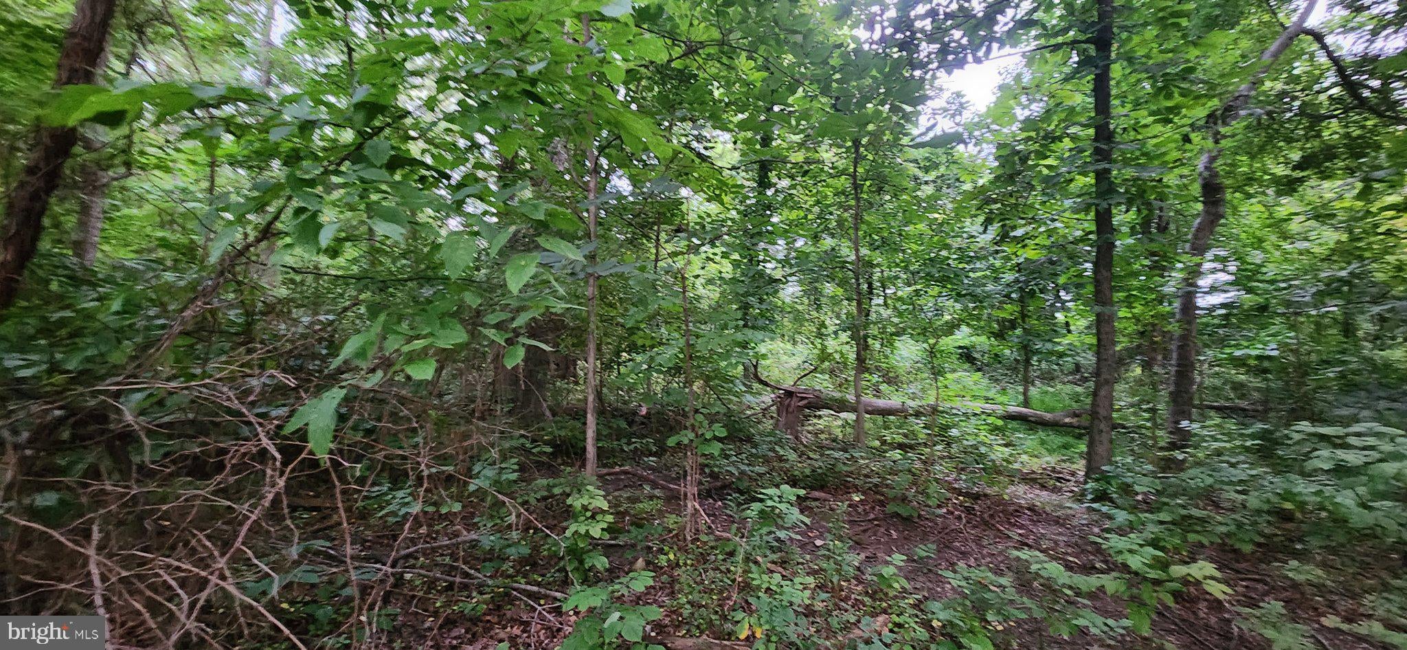 25 FREEDOM TRL TRAIL