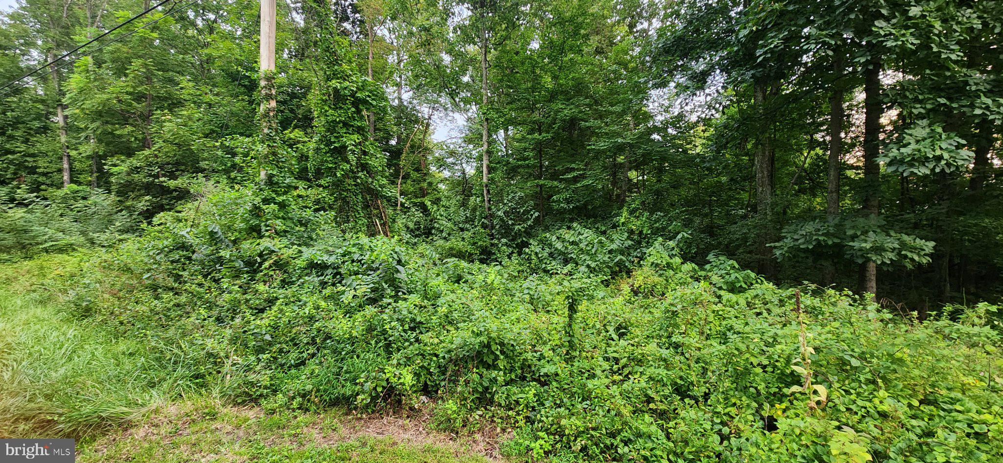 25 FREEDOM TRL TRAIL