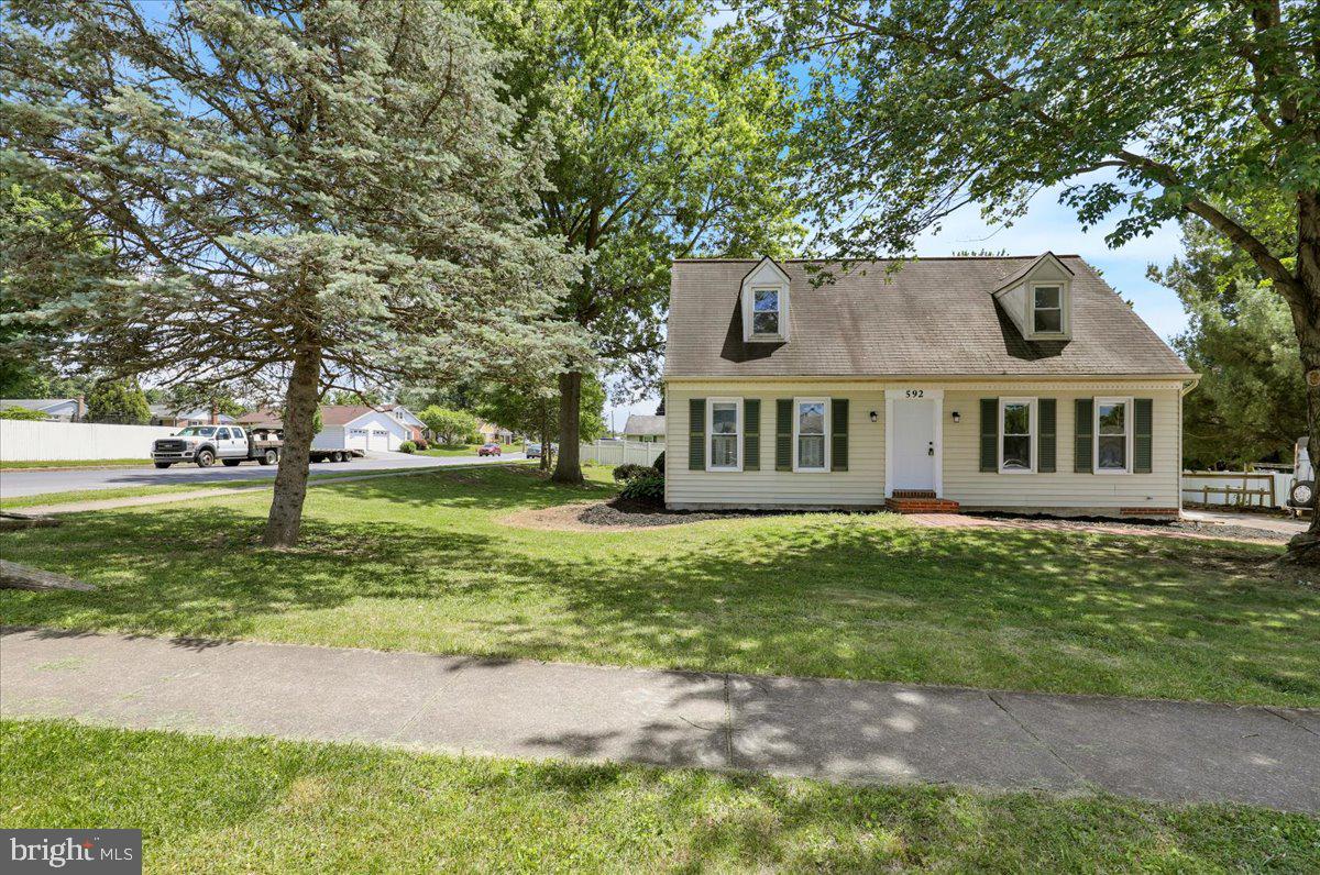 592 MULBERRY