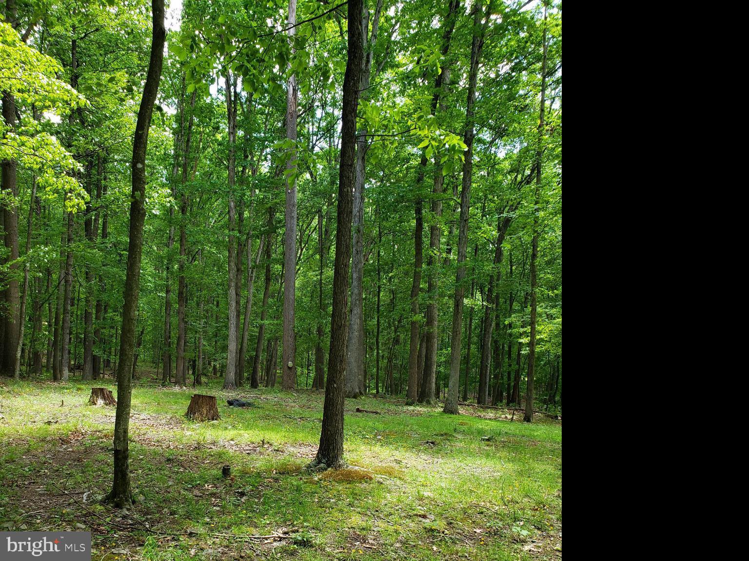 CAPON RIVER VISTA - Residential