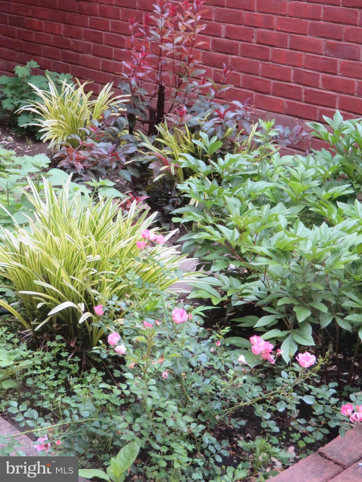 QUEEN VILLAGE - Residential