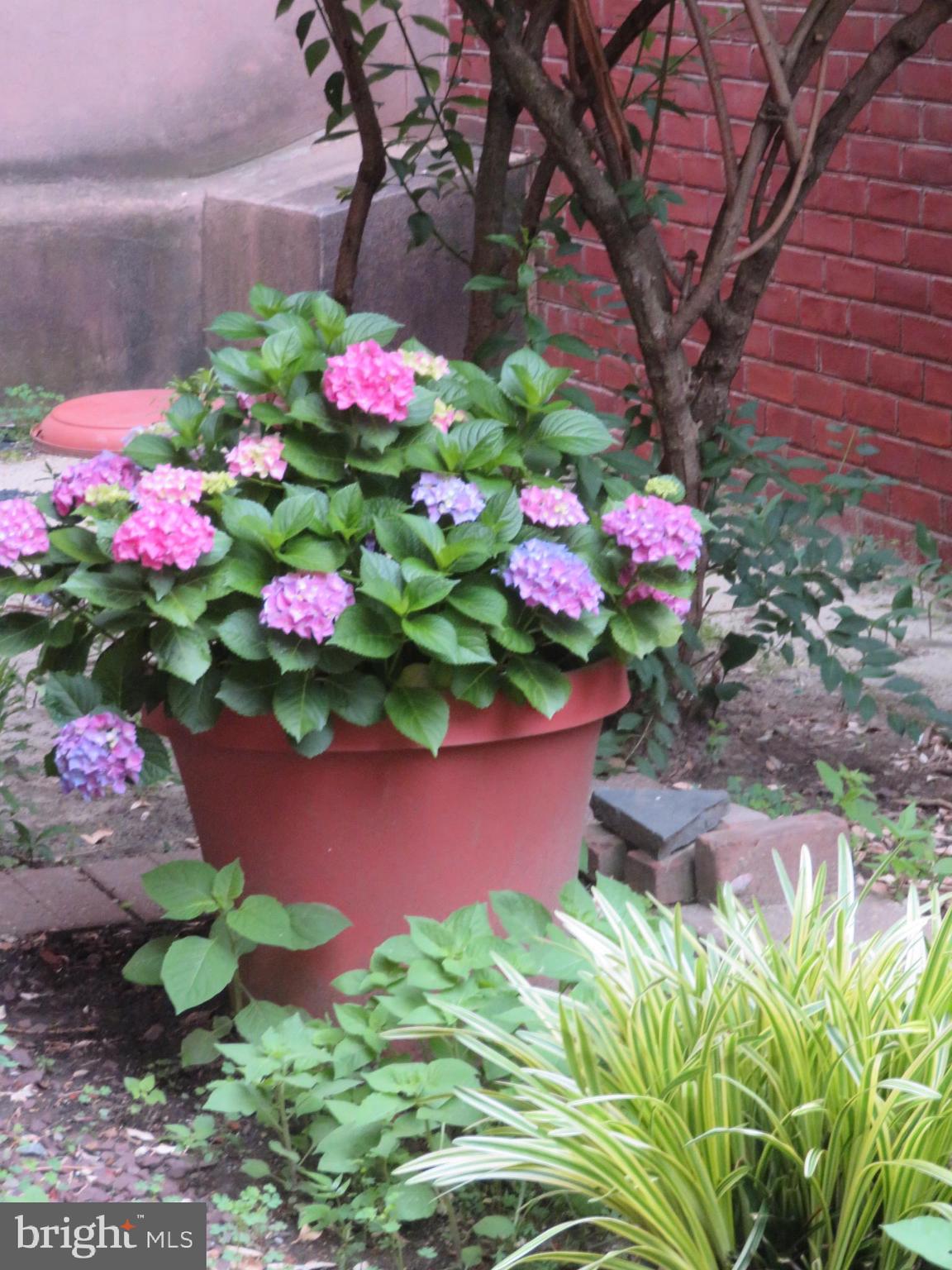 QUEEN VILLAGE - Residential