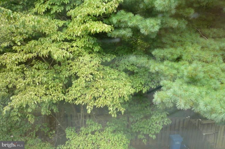 PLEASANT FIELDS - Residential