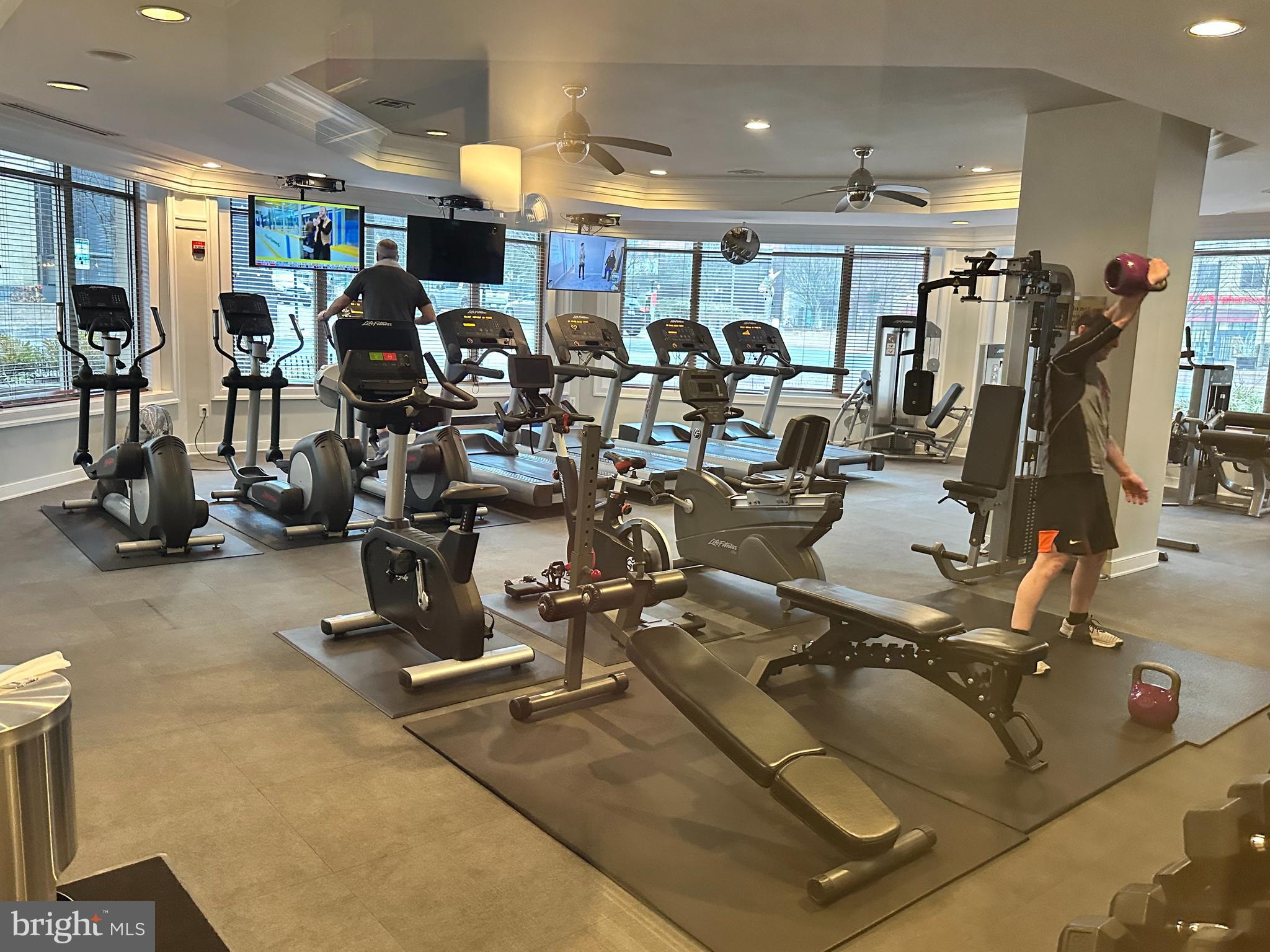 SAVOY AT RESTON TOWN CENTER - Residential