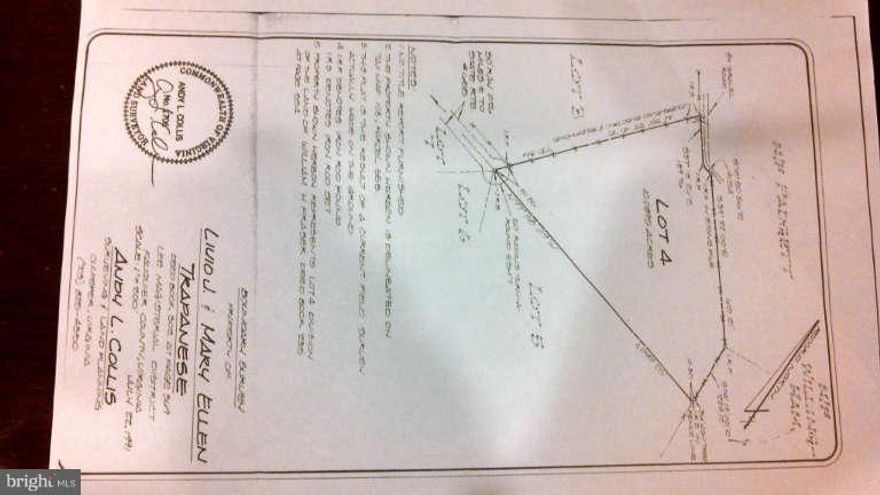 Wooded lot 10+ acres at end of partially developed road. Good gravel road almost to property boundary. Good and flat building locations. Listed below county assessment for sale. Soil work has been completed and will be approved for a drip system drain field. ALL final paperwork back from Fauquier(Health Dept). Plats and drain field certs in hand. Needs culvert to complete access.