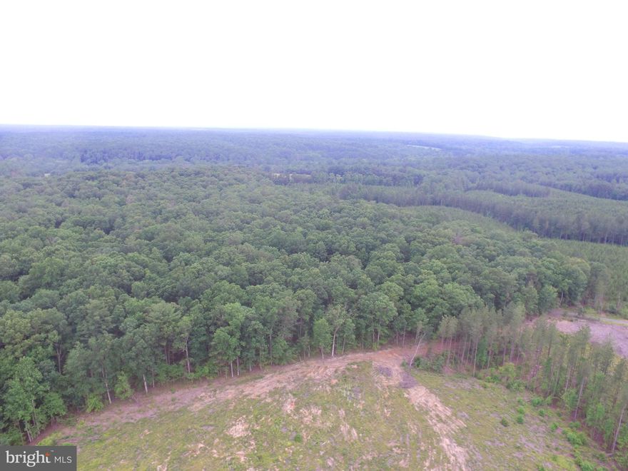 Imagine owning 85 acres of land and building your dream home and/or having a farm.    Create your oasis, land is a mixture of trees and cleared areas.   Maybe you are a builder or developer and would like the possibility of subdividing.  The land is zoned for 5 acre minimum lots.