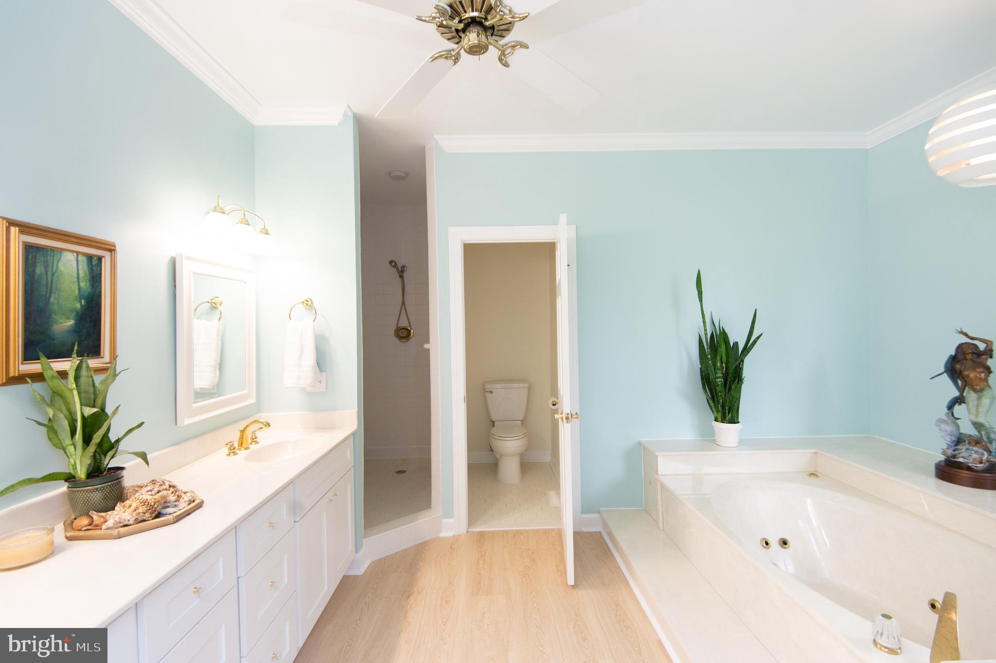 HORNS POINT - Residential