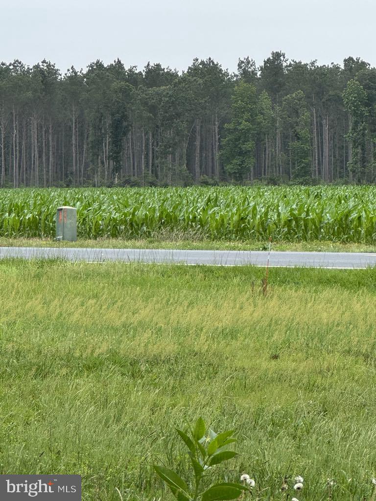 14073 OLD FURNACE ROAD