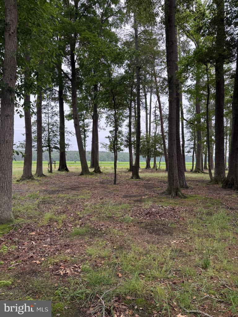 14073 OLD FURNACE ROAD