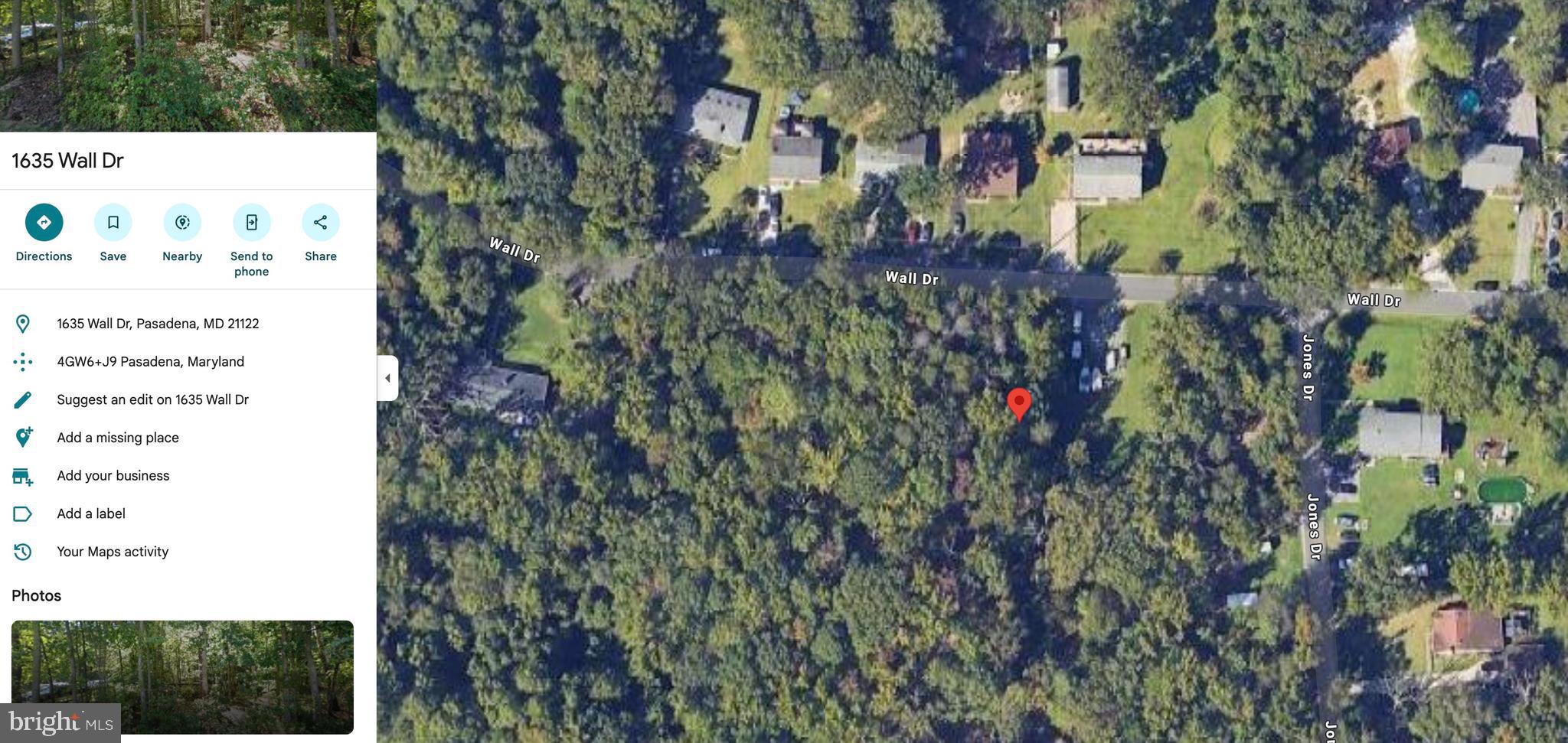 Main image without alt text