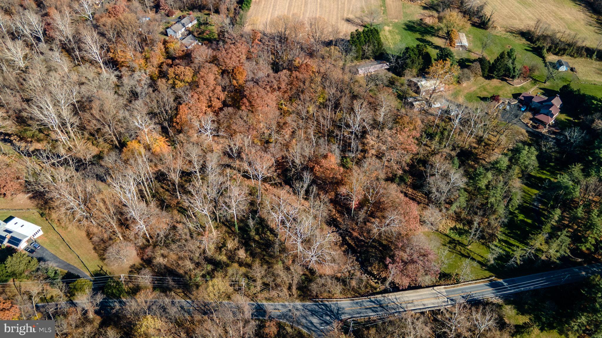 BELVIDERE ROAD