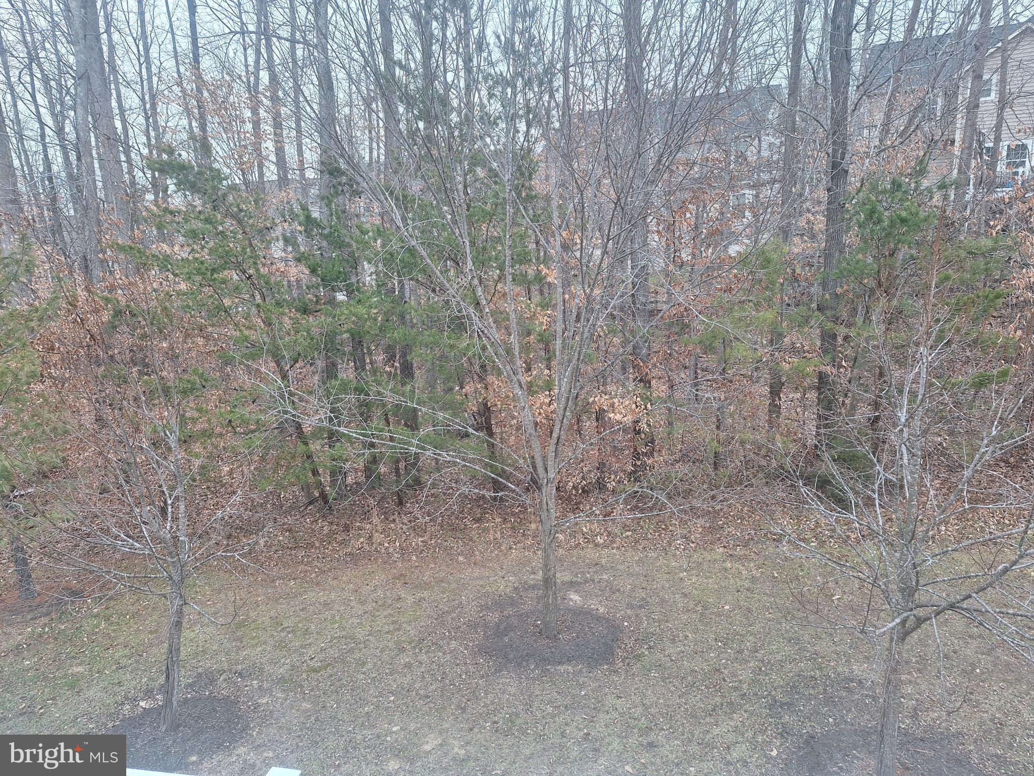 BEECH TREE NORTH VILLAGE - Residential