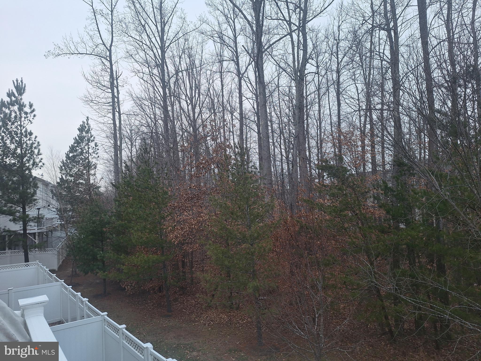 BEECH TREE NORTH VILLAGE - Residential