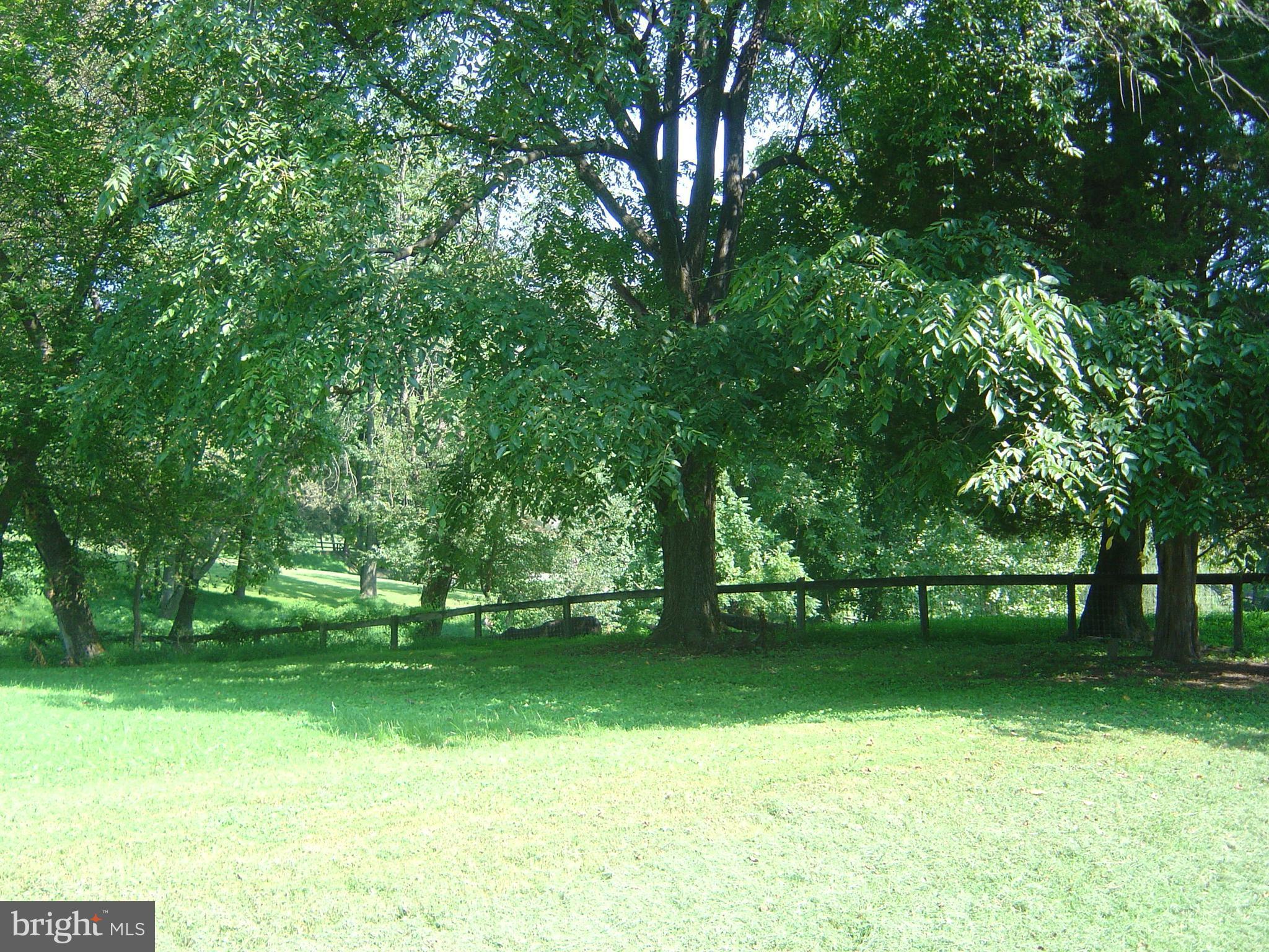 BLENHEIM - Residential Lease