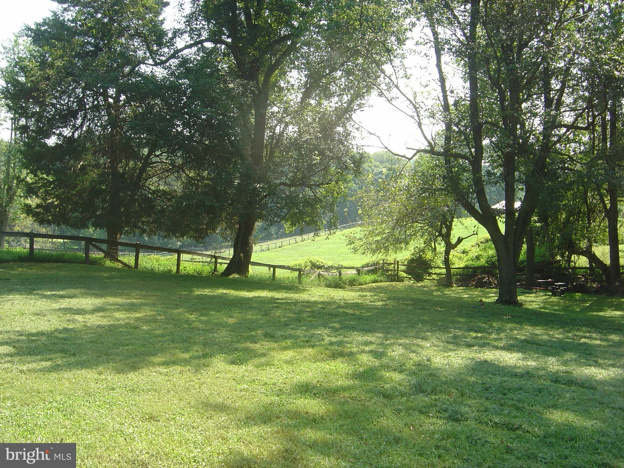 BLENHEIM - Residential Lease