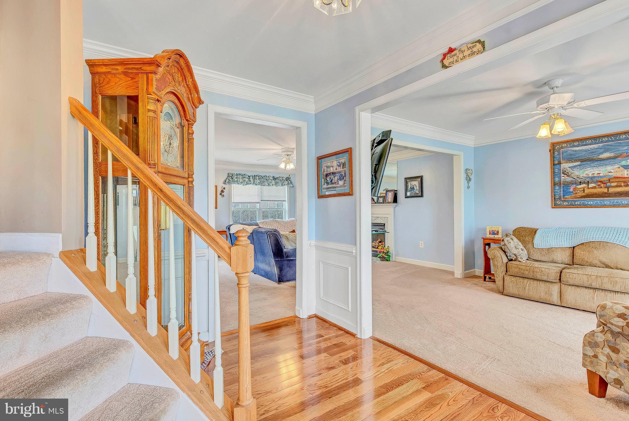 GLEBE RUN - Residential