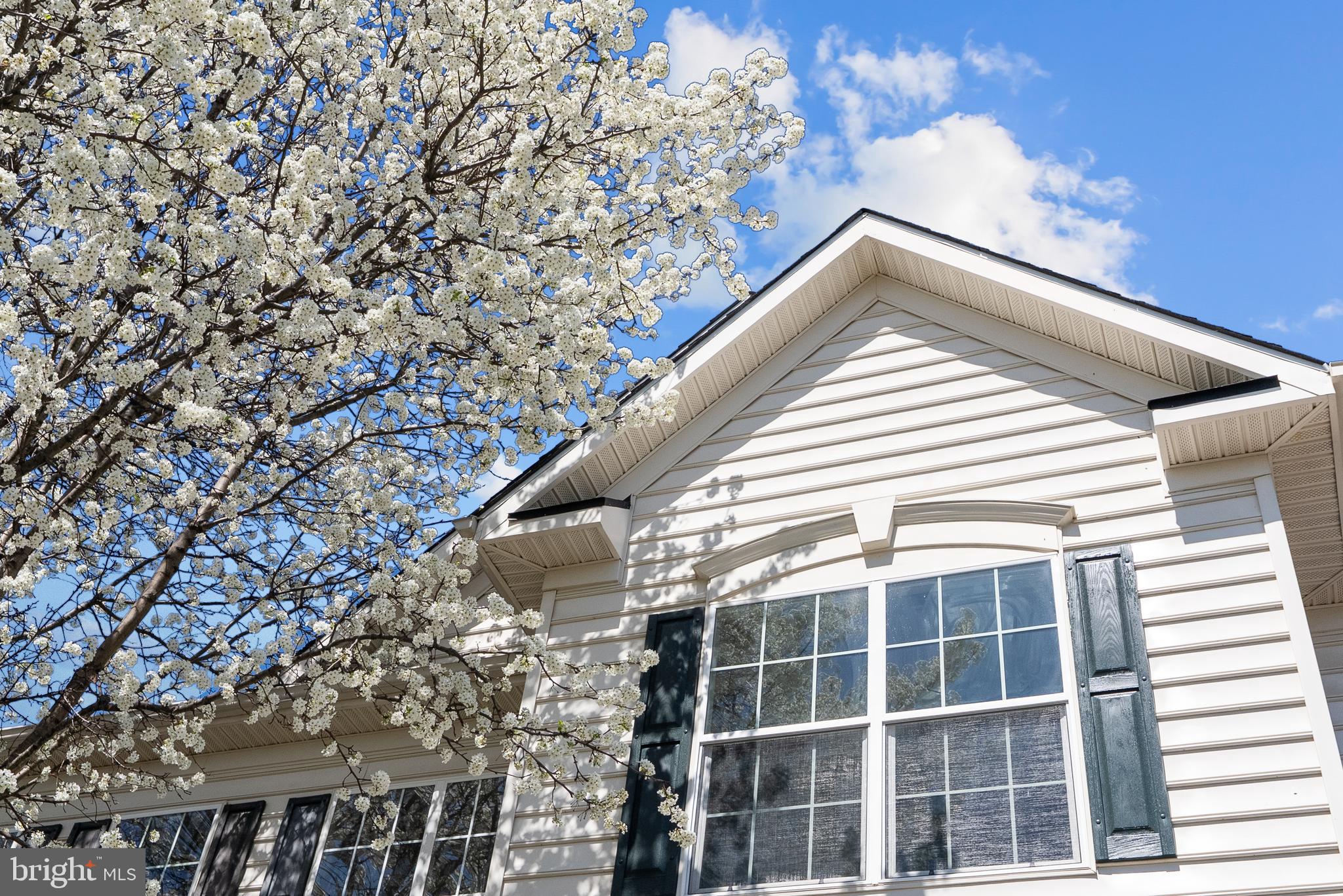 DEMORY FARM - Residential