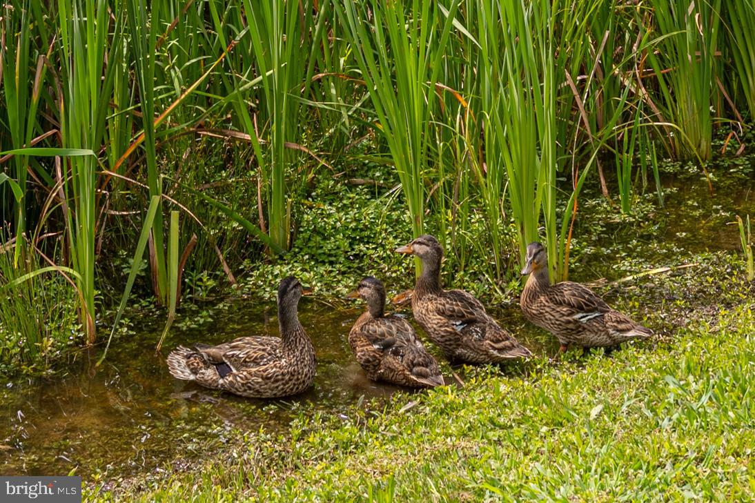 WOOD CREEK GOLF COMM - Residential