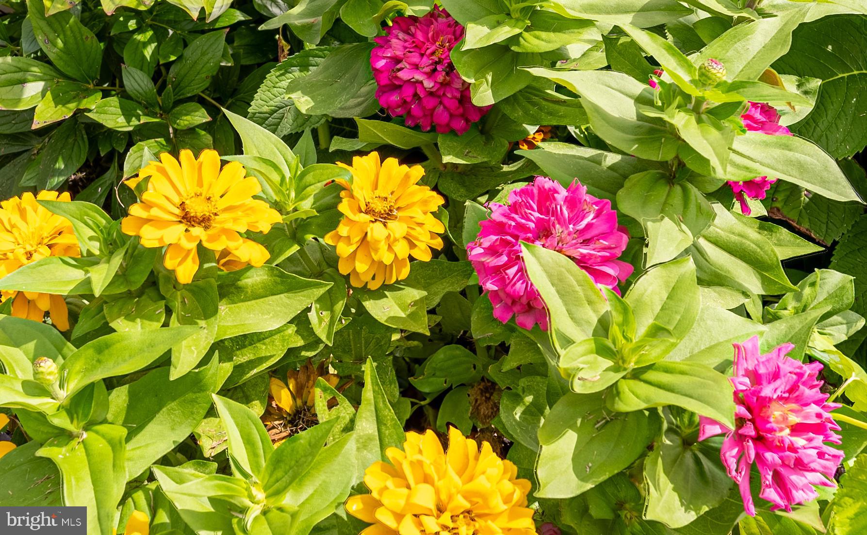 WOOD CREEK GOLF COMM - Residential