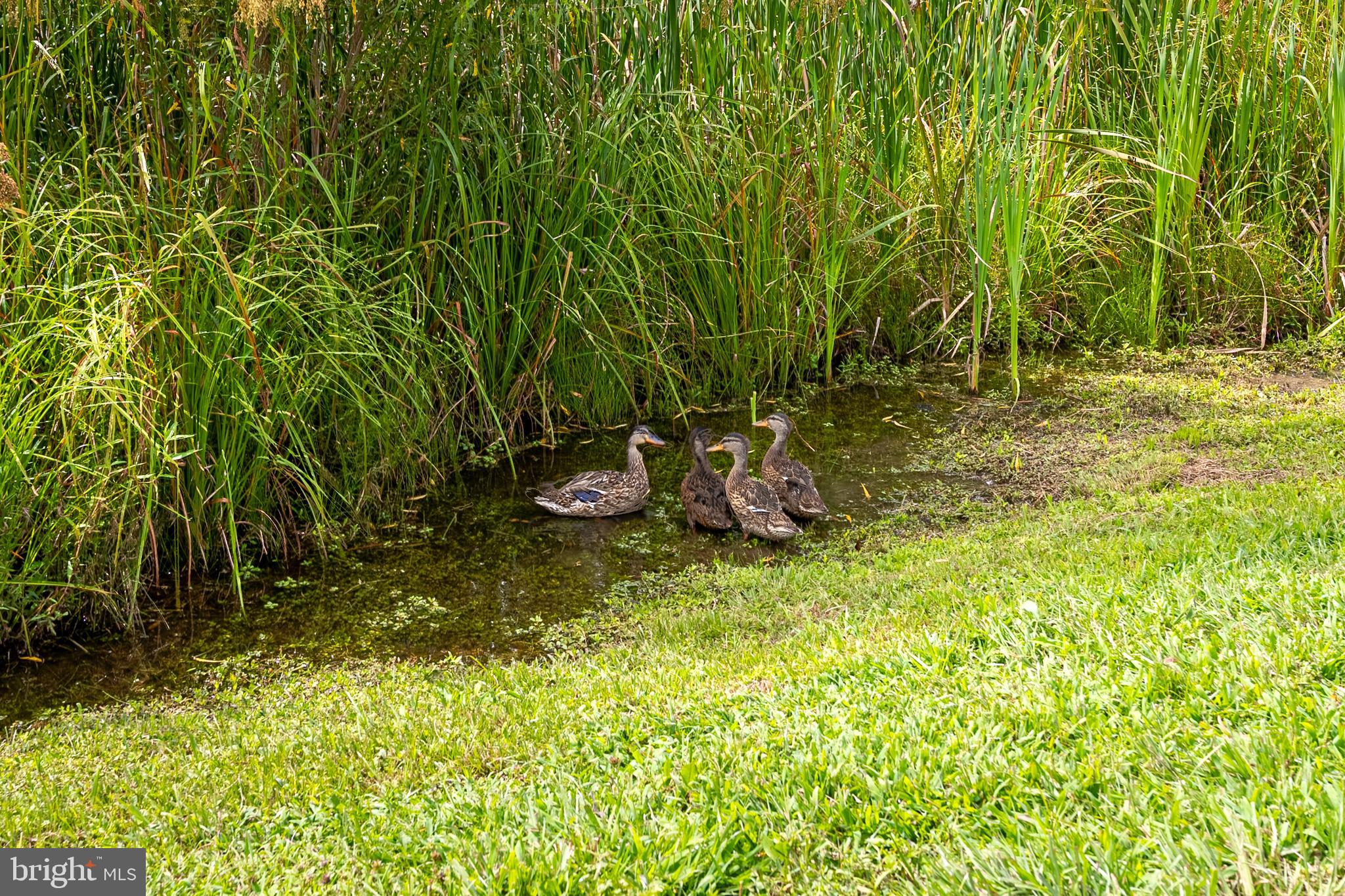 WOOD CREEK GOLF COMM - Residential