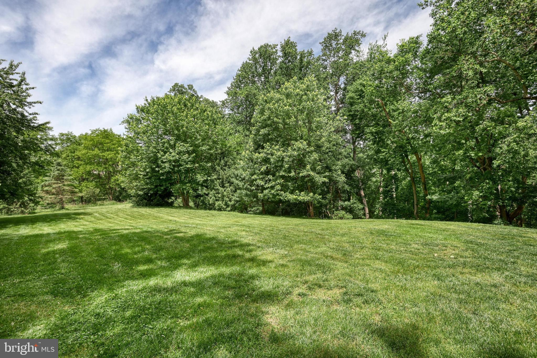 BRAEBURN ESTATES - Residential