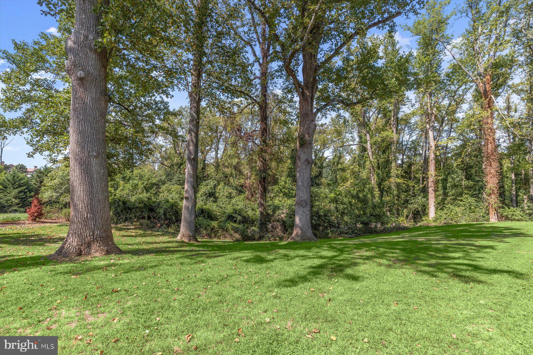 804 RACKHAM ROAD