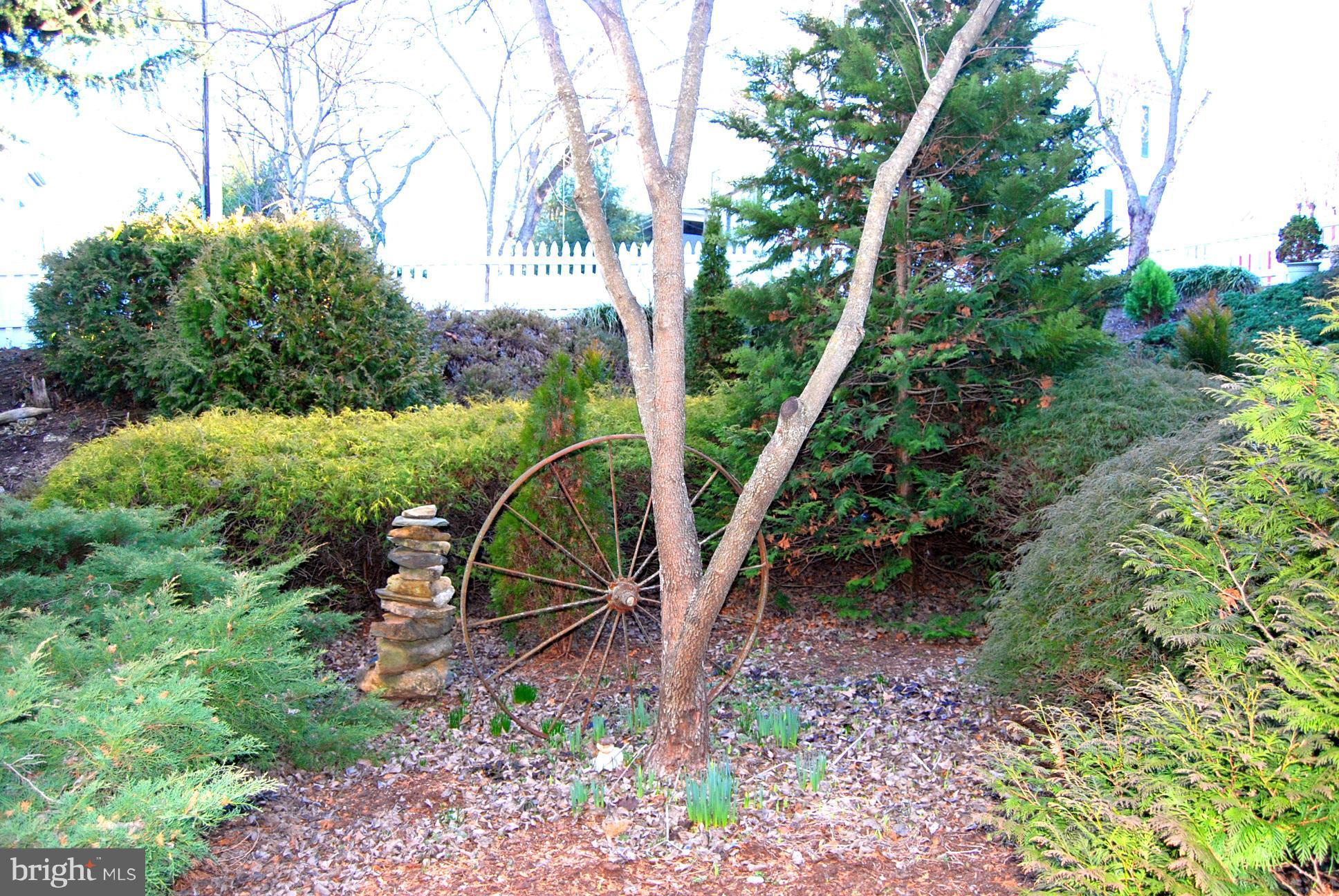 DOWNTOWN FREDERICKSBURG - Residential