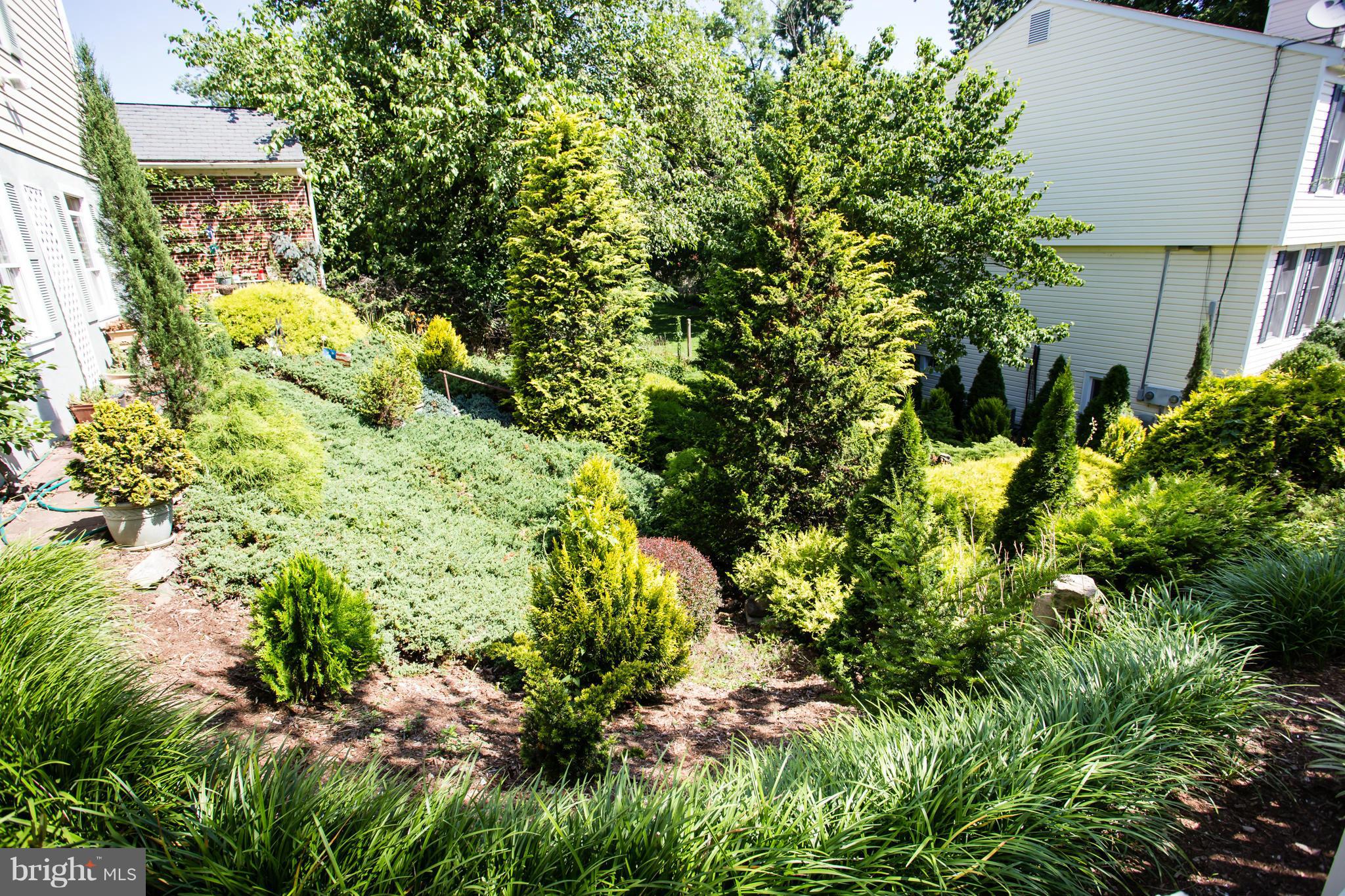 DOWNTOWN FREDERICKSBURG - Residential