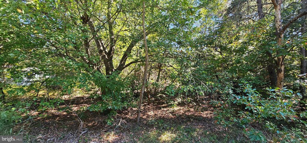 Photo of Lot 13 14 Coverdale Road, BRIDGEVILLE, DE 19933 (MLS # DESU2099442)
