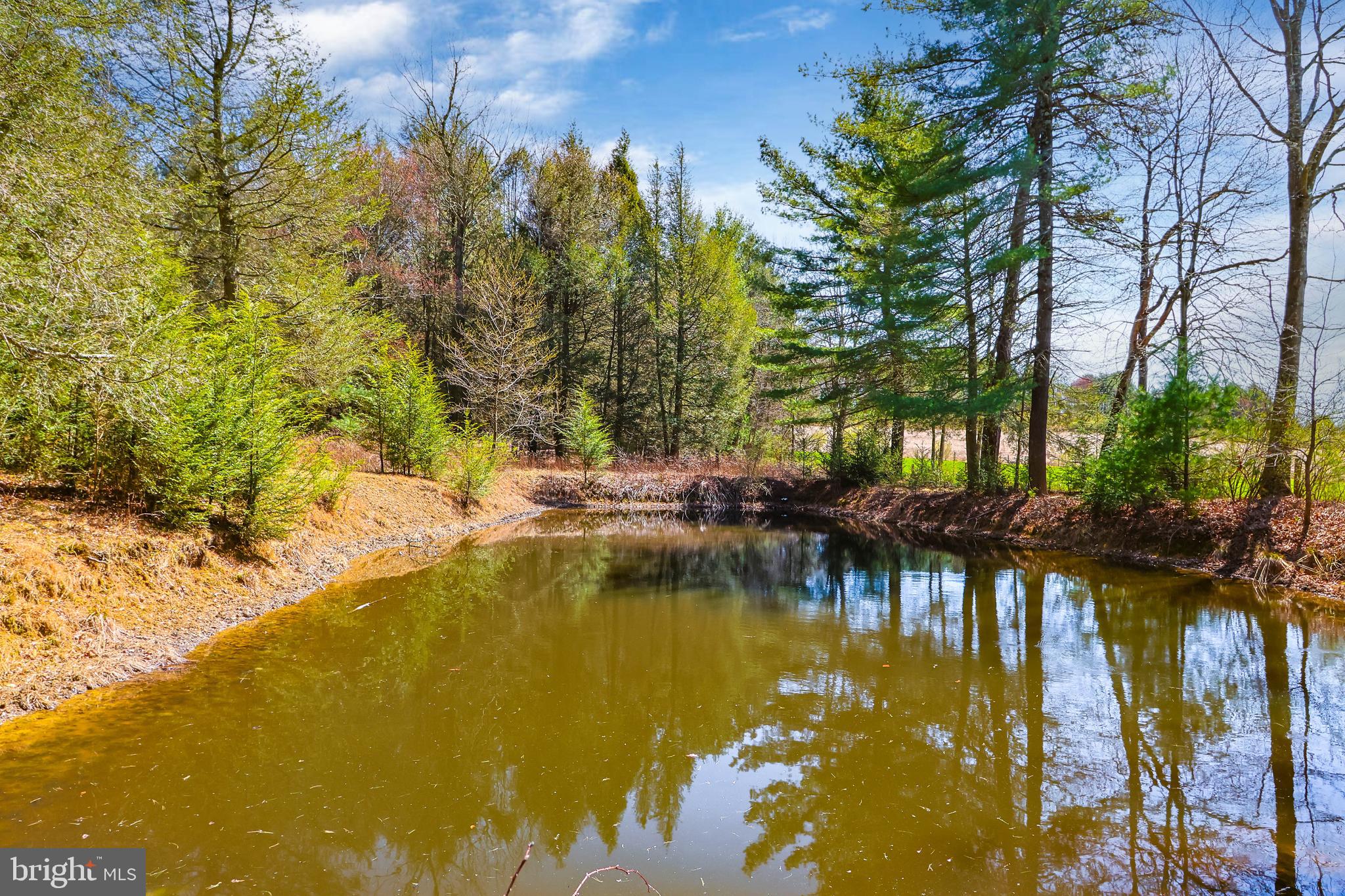 NO DEVELOPMENT - Farm