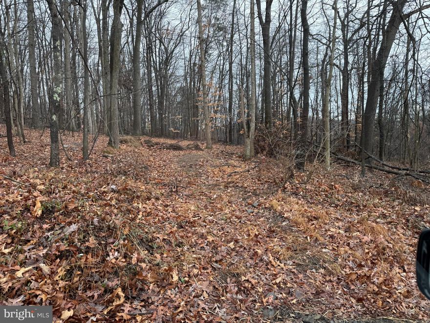 Three contiguous parcels of approximately 6.88 acres total of mostly wooded land located at the corner of Eagle Lane and Hope Road in New Bloomfield, Perry County, PA.