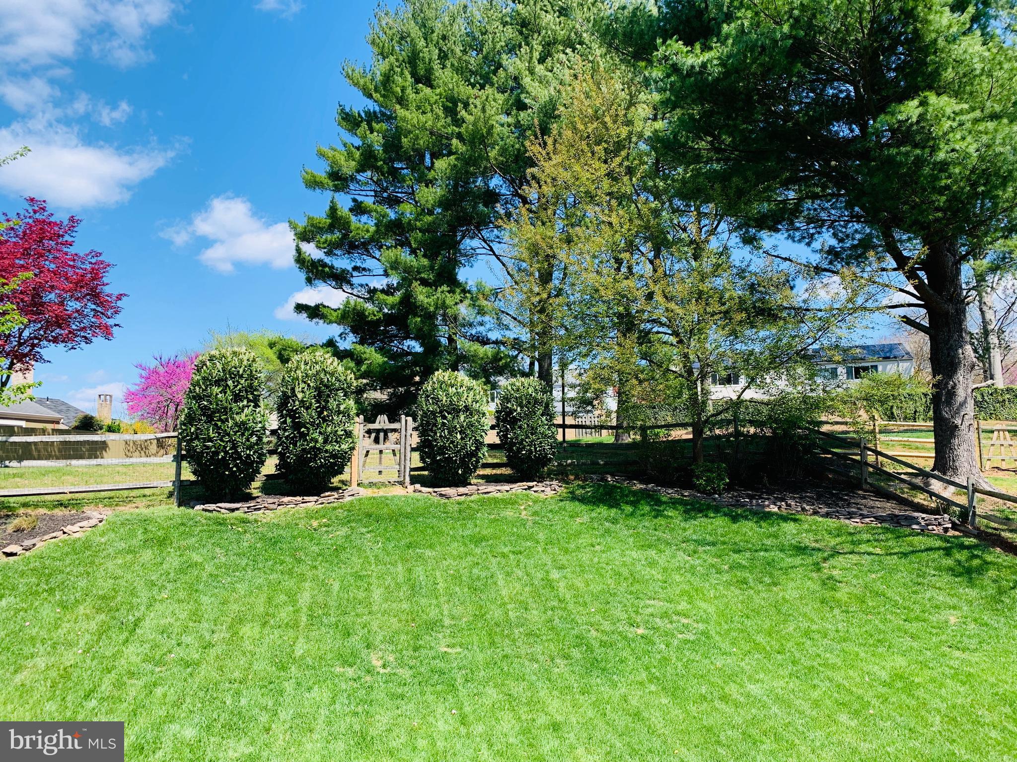 WHETSTONE - Residential