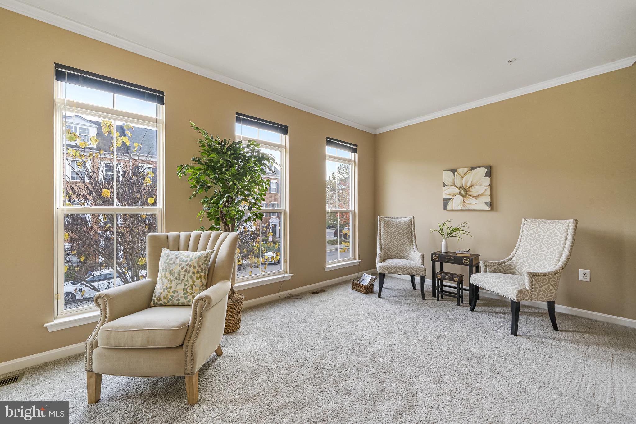 TOWN CENTER AT CAMP SPRINGS - Residential