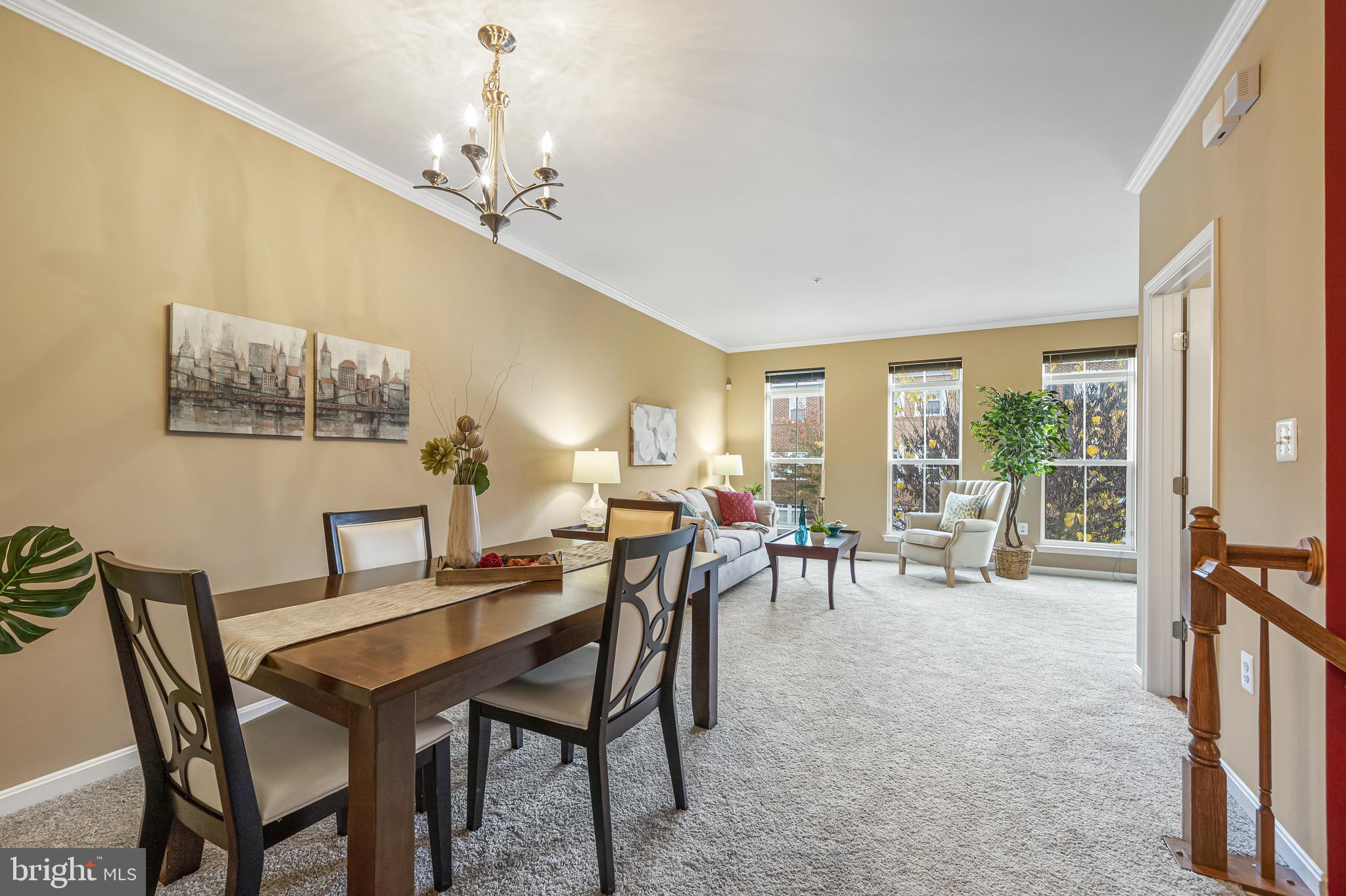 TOWN CENTER AT CAMP SPRINGS - Residential