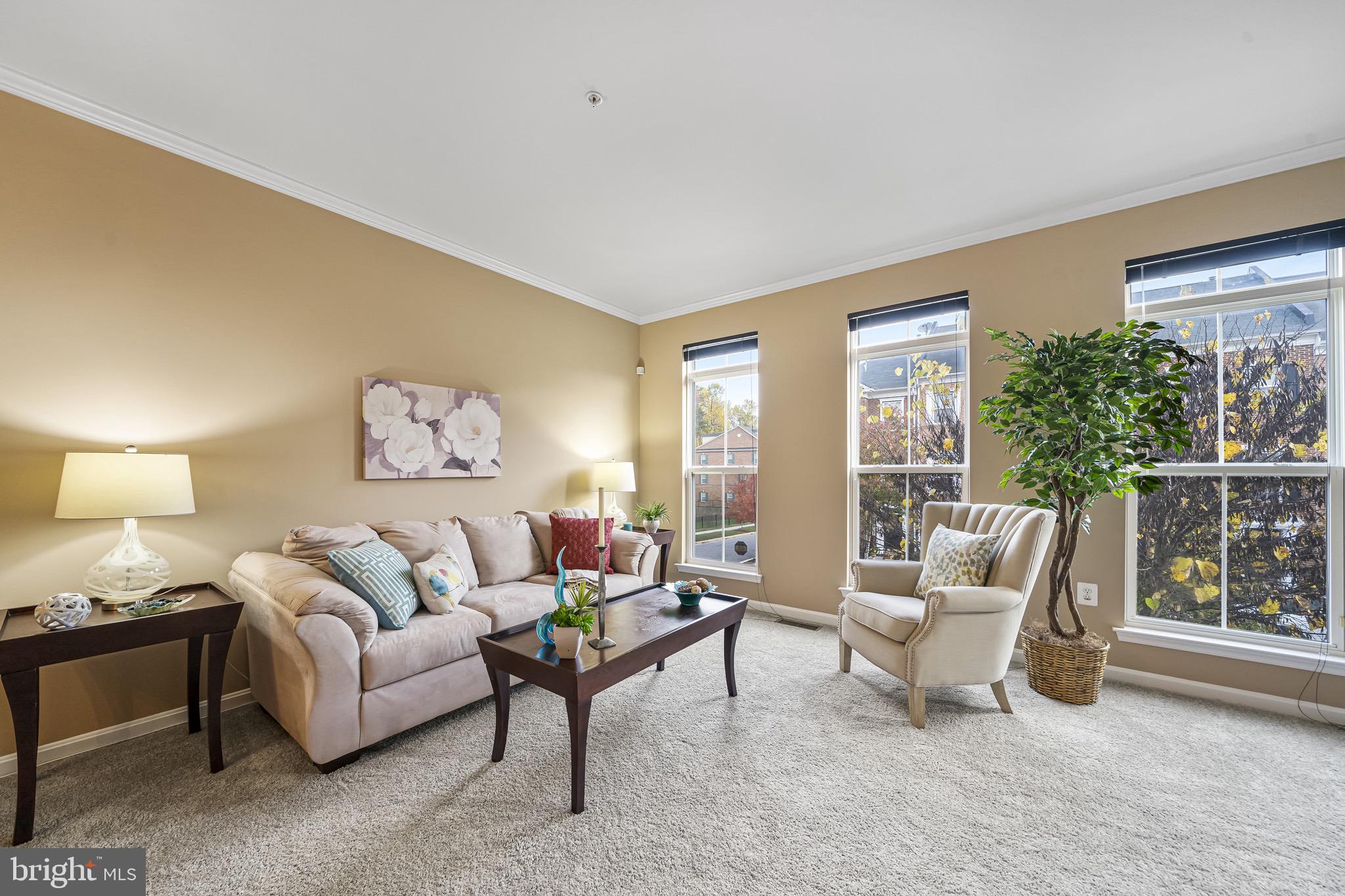 TOWN CENTER AT CAMP SPRINGS - Residential