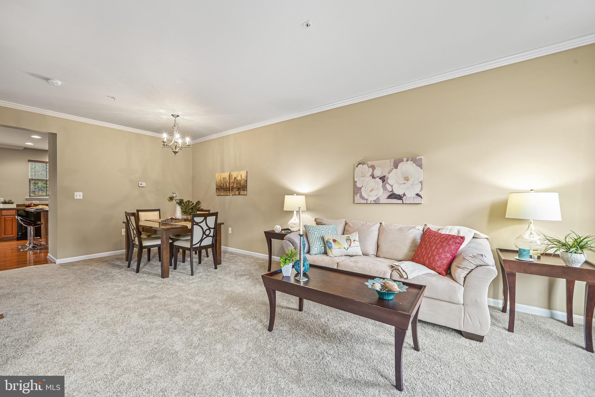 TOWN CENTER AT CAMP SPRINGS - Residential