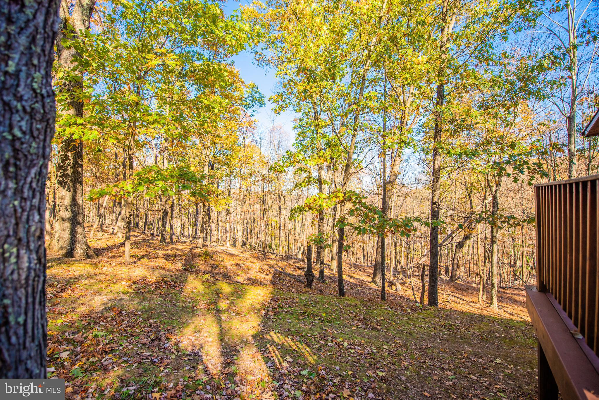 PINEY RIDGE - Residential