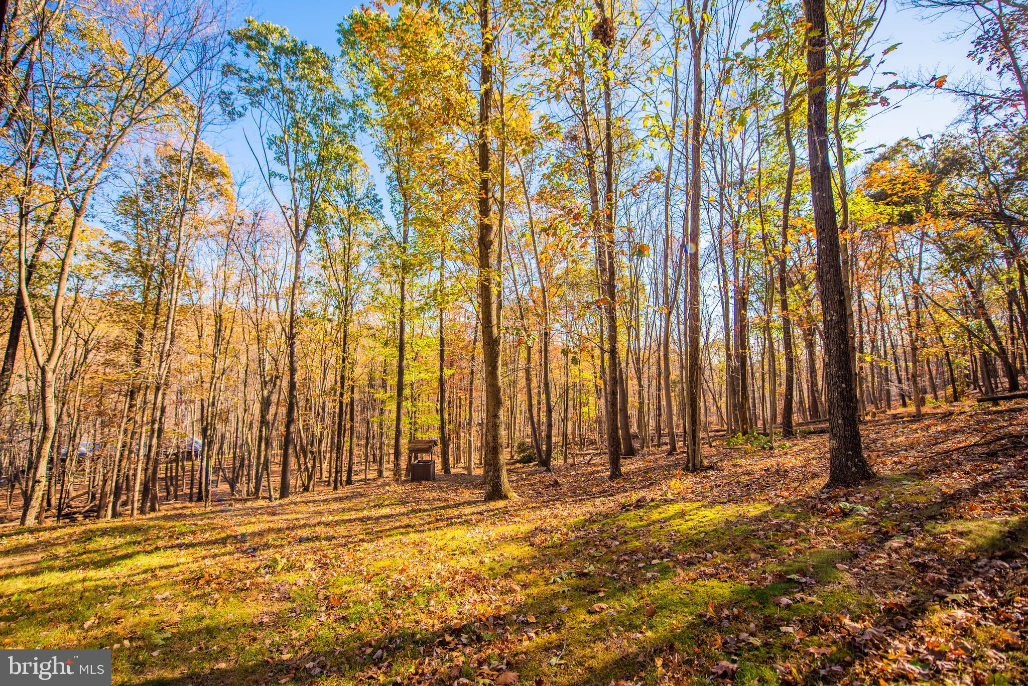 PINEY RIDGE - Residential