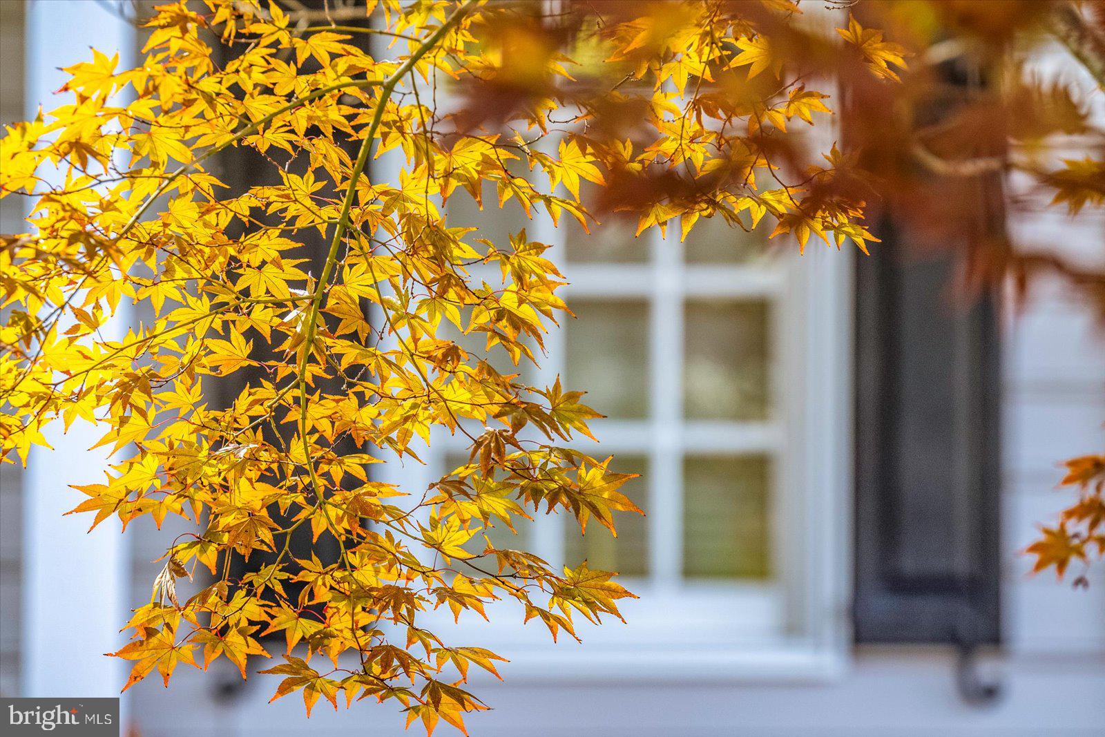 OCEAN PINES - MUMFORD'S WOODS - Residential