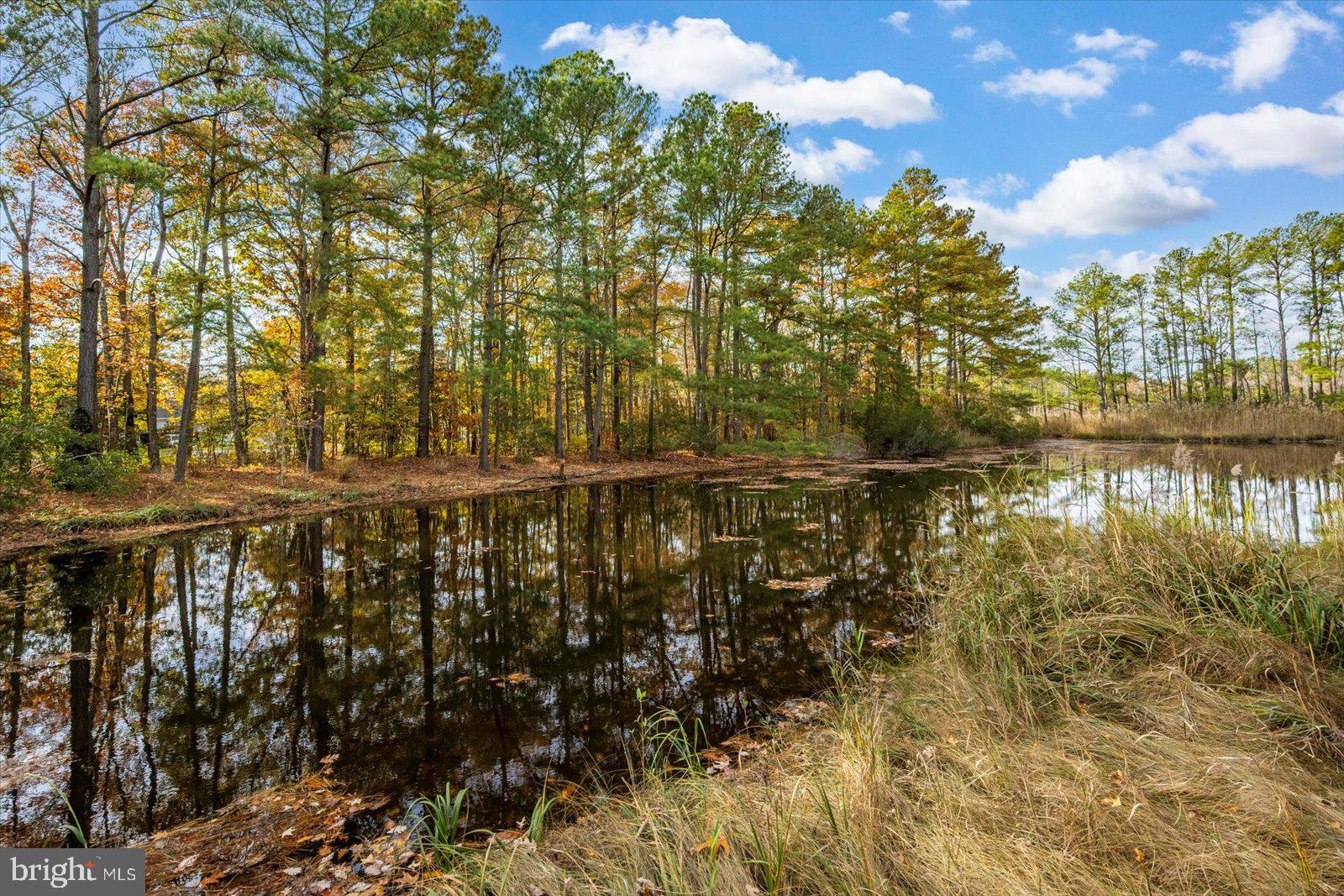 OCEAN PINES - MUMFORD'S WOODS - Residential