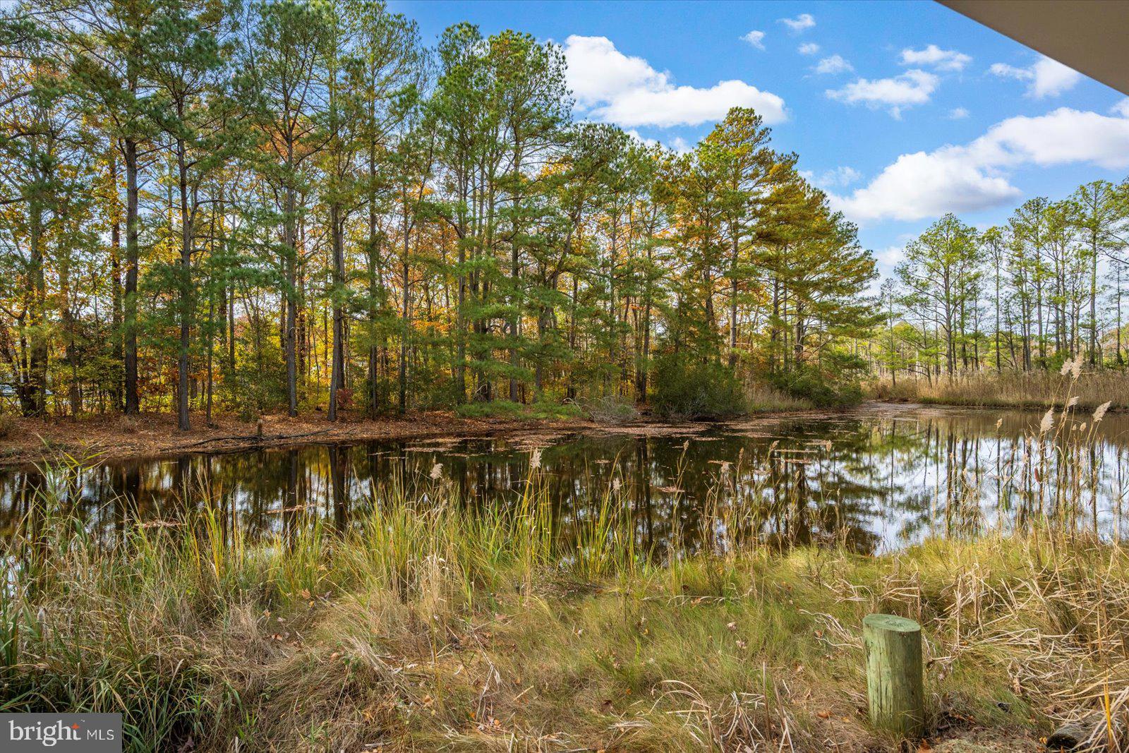 OCEAN PINES - MUMFORD'S WOODS - Residential
