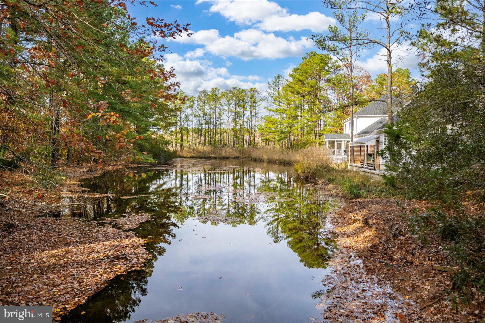OCEAN PINES - MUMFORD'S WOODS - Residential