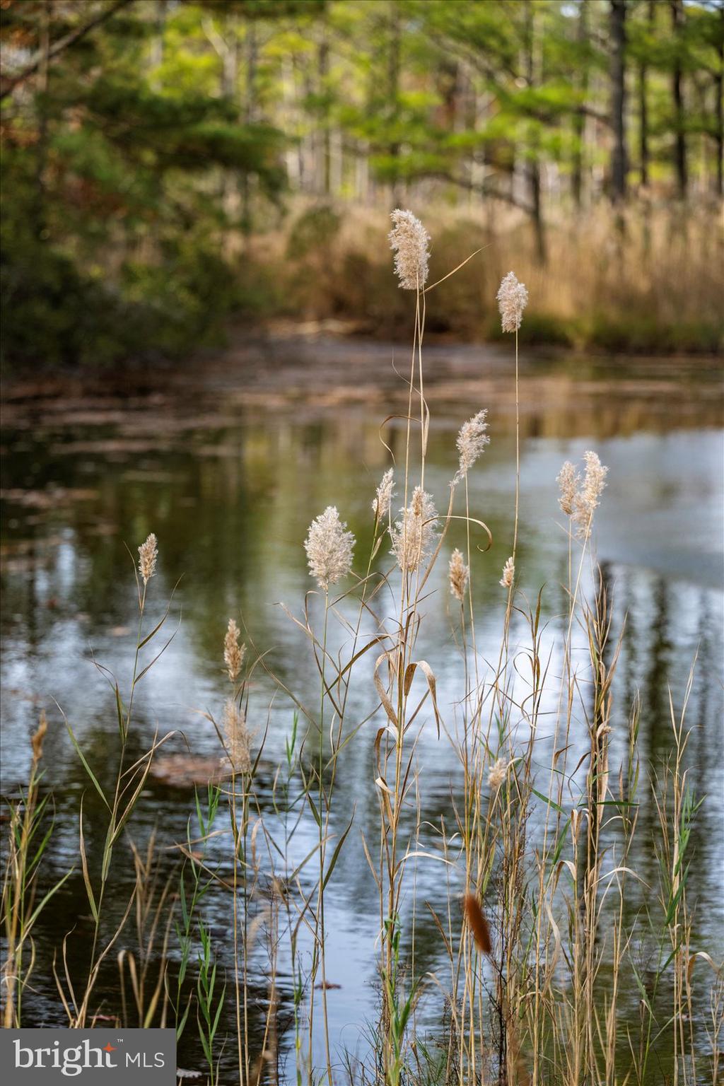 OCEAN PINES - MUMFORD'S WOODS - Residential