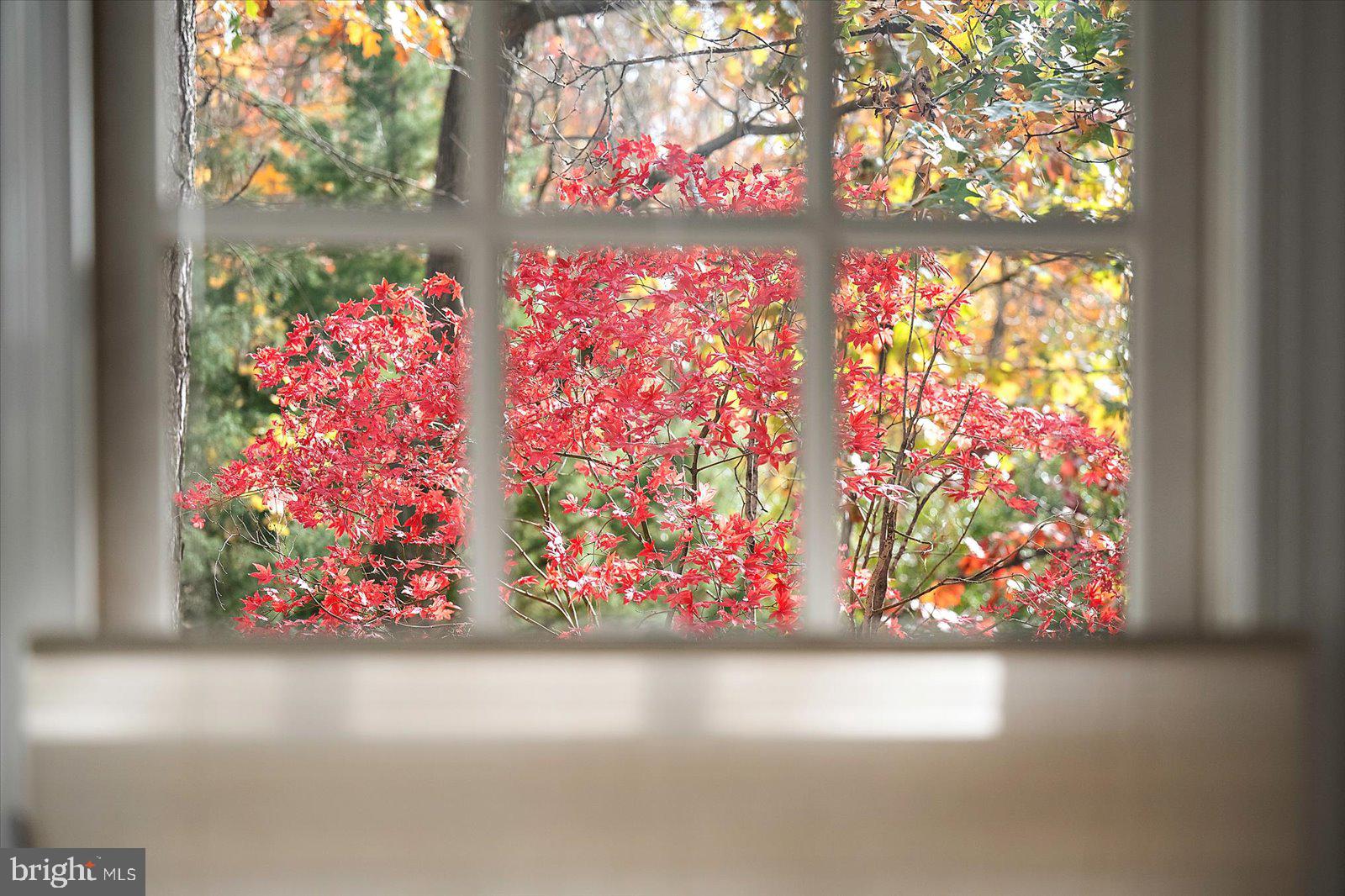 OCEAN PINES - MUMFORD'S WOODS - Residential