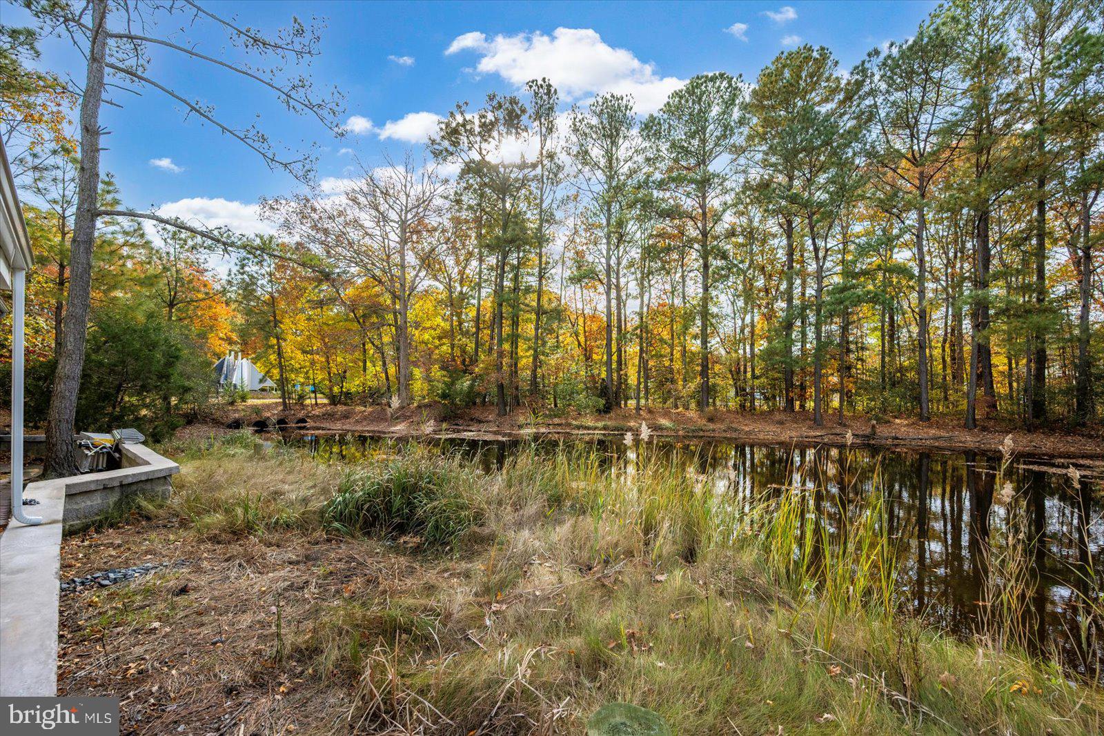 OCEAN PINES - MUMFORD'S WOODS - Residential