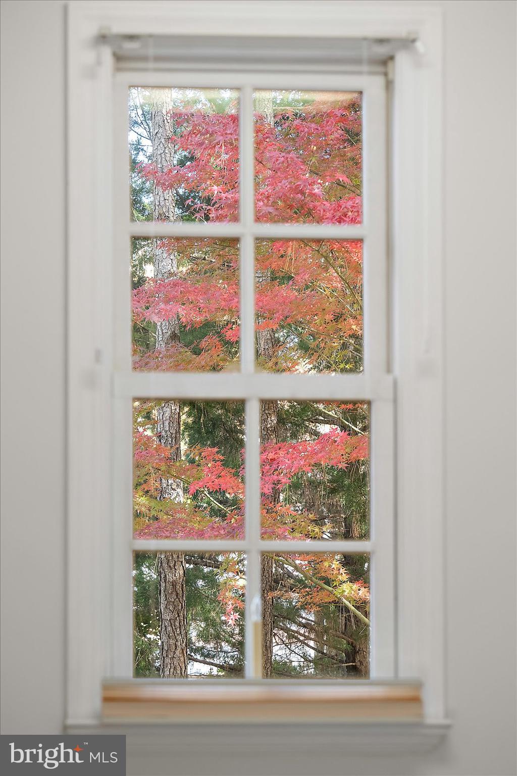 OCEAN PINES - MUMFORD'S WOODS - Residential